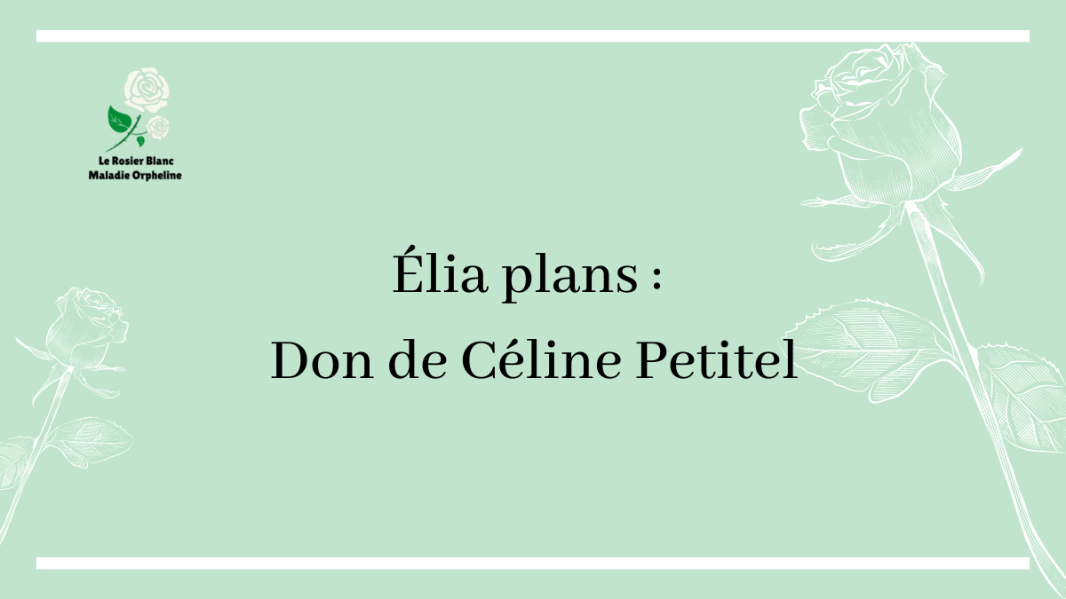 ÉLIA PLANS : Don de Céline Petitel