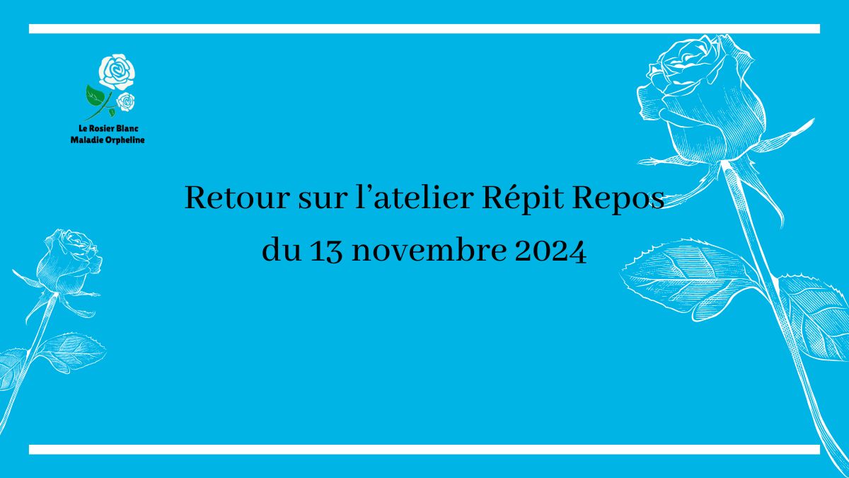 Retour sur l’atelier Répit Repos du 13 novembre 2024