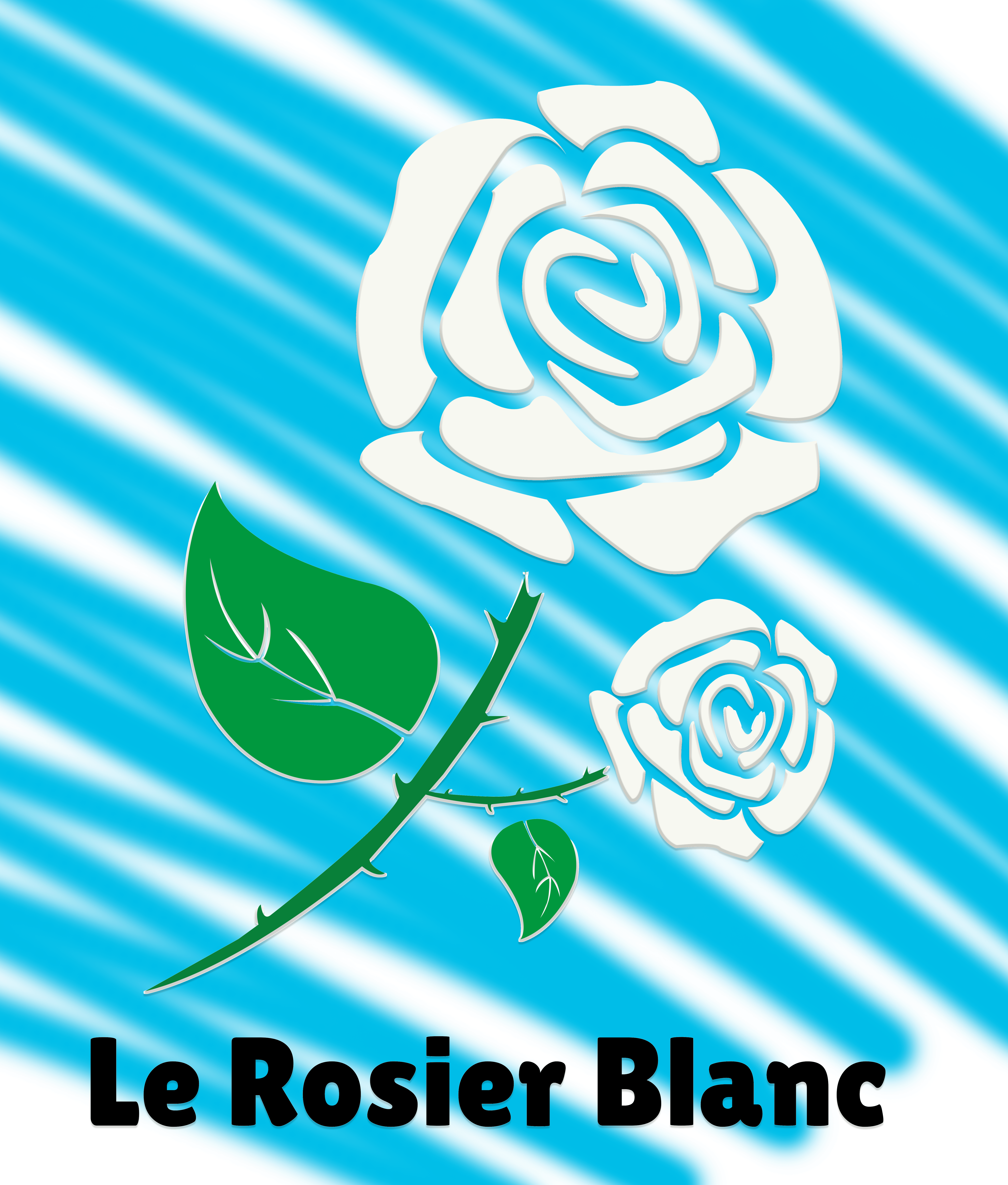 Association le Rosier Blanc